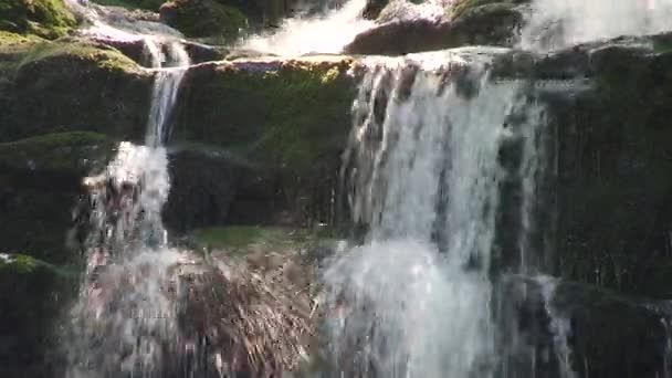 Hermosa Agua Río Montaña — Vídeo de stock