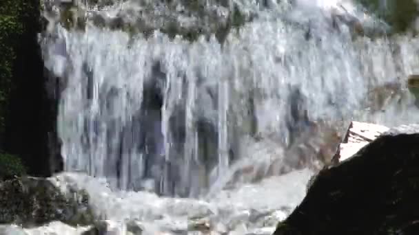 Schönes Wasser Einem Gebirgsfluss — Stockvideo