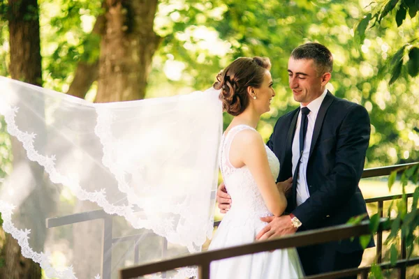 Jeune couple, mariés marchant et profitant de leur jour de mariage. Du soleil. Été — Photo