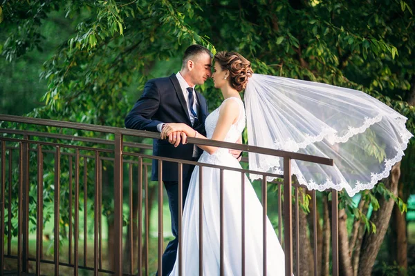 Casal jovem, noiva e noivo andando e desfrutando de seu dia de casamento. Luz do sol. Verão — Fotografia de Stock