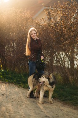 Blode Bayan modeli fotoğrafçı husky köpek ile poz veriyor