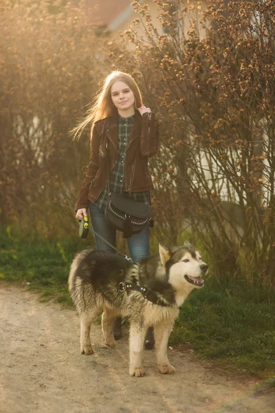 Blode modelo senhora posa para fotógrafo com cão husky — Fotografia de Stock