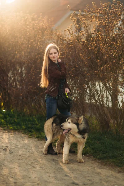 Blode lady modella posa per fotografo con cane husky — Foto Stock