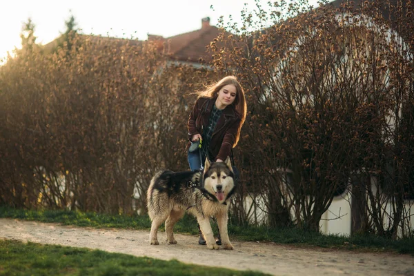 Blode lady model poses to photographer with husky dog — Stock Photo, Image