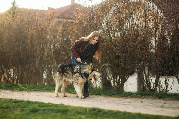 Blode lady model poses to photographer with husky dog — Stock Photo, Image