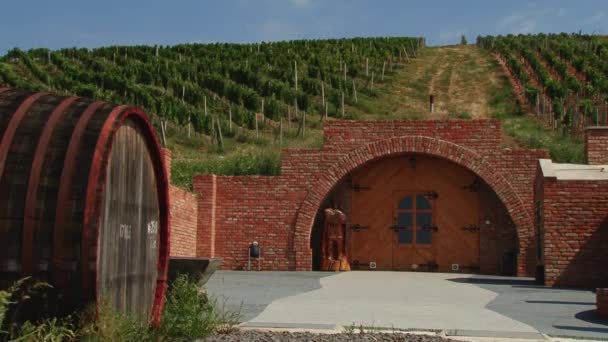 Bodega Junto Campo Uvas — Vídeos de Stock