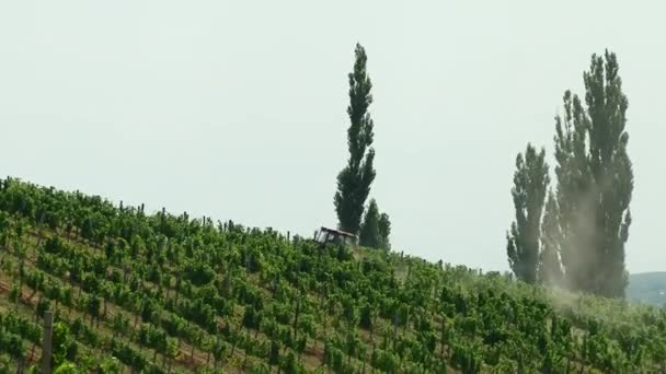 Tractor Recorre Campo Con Uvas — Vídeos de Stock