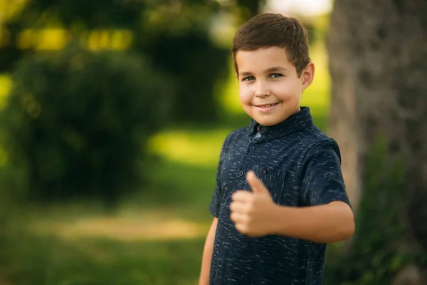 Bel ragazzo sorridente e in posa per il fotografo. Un bambino gioioso passeggia per il parco. Tempo soleggiato estate — Foto Stock