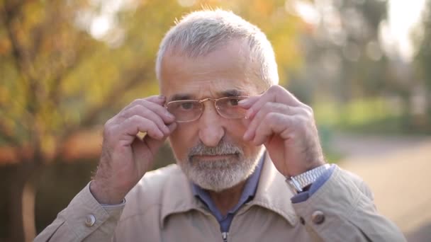 Primer plano del portador guapo anciano se puso gafas. Viejo canoso en el parque — Vídeos de Stock
