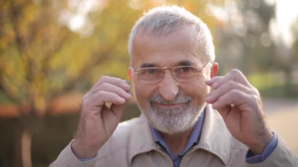 Zblízka pohledný vousáč starší muž nasadit brýle. Šedovlasý stařec v parku — Stock video