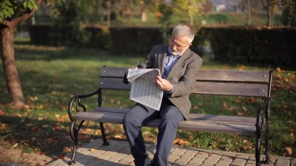 Stilig farfar med vackert skägg i grå jacka sitter på en bänk i parken och läser en tidning. Senior gråhårig man i glasögon — Stockvideo