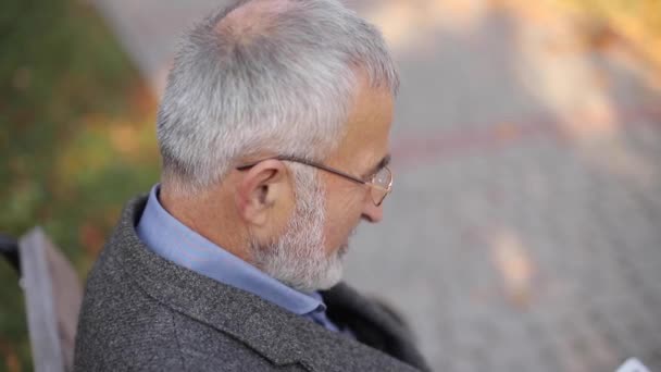 Beau homme âgé aux cheveux gris avec une belle barbe assise sur le banc et utiliser une tablette pour faire défiler Internet. Contexte de l'arbre d'automne — Video