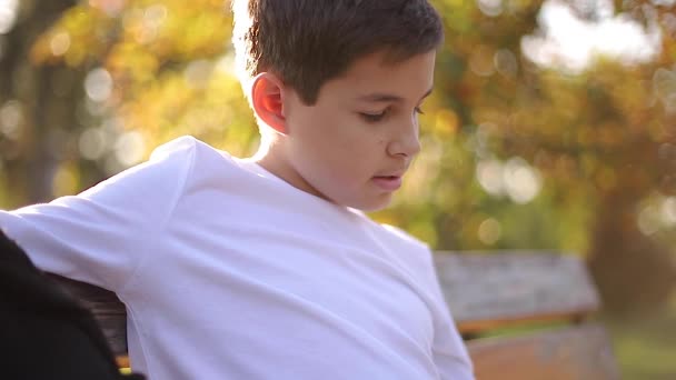 放課後、少年は公園で電話を使う。10代の少年は外でスマートフォンを使う。黄金の秋 — ストック動画