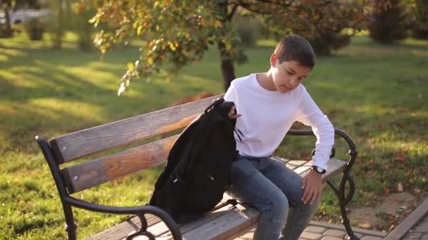 Skolpojken går i skolan på morgonen. Glad tonåring i vit skjorta med svart ryggsäck går att studera — Stockvideo