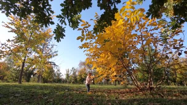 Schattig baby meisje staan over mooie gele boom en spelen met blad op de boom — Stockvideo