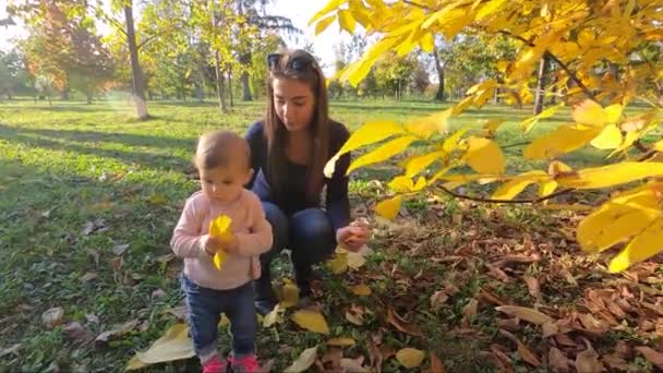 Щаслива дівчинка гуляє з мамою восени в парку — стокове відео