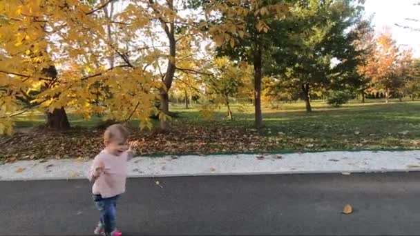 사랑 스러운 작은 소녀가 10 월에 공원을 산책 합니다. 10 개월된 귀여운 아기 산책. 아름다운 행복 한 아가씨. 가을 기분 — 비디오