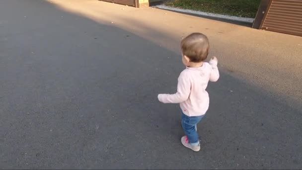 Sevimli küçük kız ekim ayında parkta yürüyor. On aylık tatlı bebek yürüyüşü. Güzel, mutlu bir kız. Sonbahar havası — Stok video