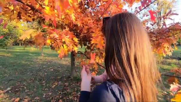 Madre con su pequeña niña de pie frente al árbol rojo. Parque de otoño — Vídeo de stock