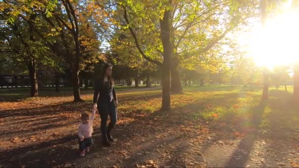 Αξιολάτρευτο κοριτσάκι που περπατάει στο πάρκο με τη μαμά του Οκτώβρη. Χαριτωμένο περπάτημα δέκα μηνών. Όμορφο χαρούμενο κορίτσι. Φθινοπωρινή — Αρχείο Βίντεο