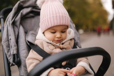 Bebek arabasındaki şirin bebek. Sonbaharda bebek arabasında oturan sevimli bir kız.