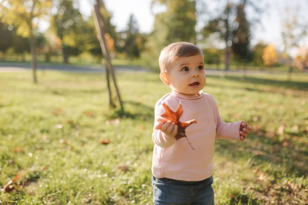 Adorable niña caminando en el parque en el clima de otoño. Niña feliz — Foto de Stock