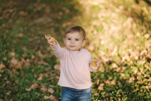 Adorable niñita camina en el parque en octubre. Lindo paseo de diez meses. Hermosa chica feliz. Humor de otoño — Foto de Stock