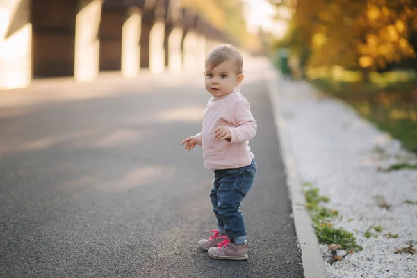 10 월에 사랑 스러운 작은 소녀 가 공원에서 걷습니다. 10 개월된 귀여운 아기 산책. 아름다운 행복 한 아가씨. 가을 기분 — 스톡 사진