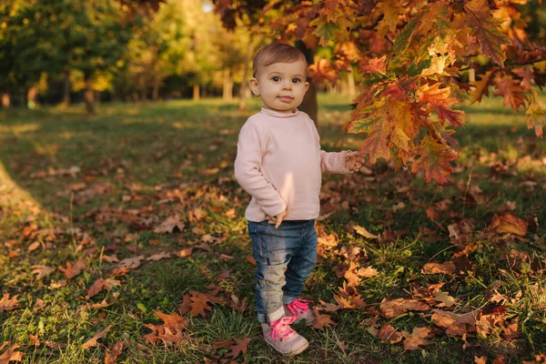 Hermosa niña jugar con hojas rojas cerca del árbol en otoño. Feliz bebé de diez meses caminando en el parque — Foto de Stock