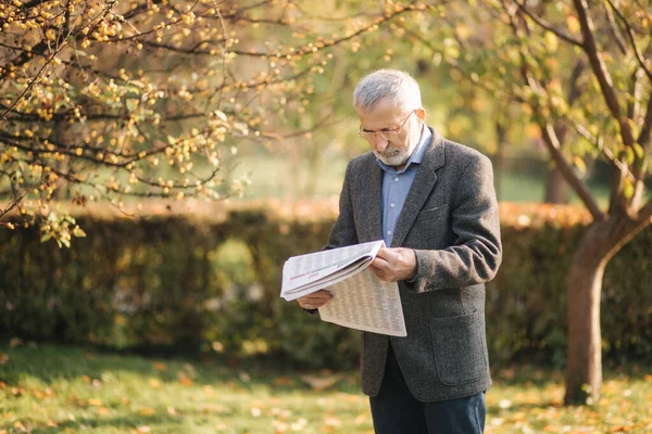 Старший читает газету в парке. Фон желтого дерева осенью — стоковое фото