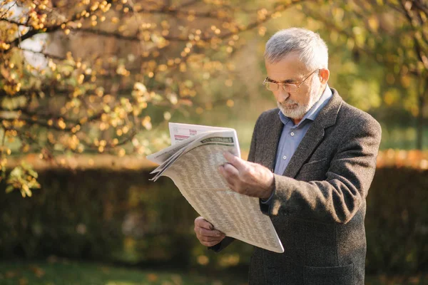 Un hombre mayor leyó un periódico en el parque. Fondo del árbol amarillo en otoño —  Fotos de Stock