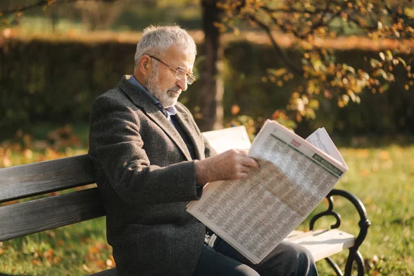El apuesto abuelo con una hermosa barba en una chaqueta gris se sienta en un banco en el parque y lee un periódico. Hombre mayor de pelo gris en gafas —  Fotos de Stock
