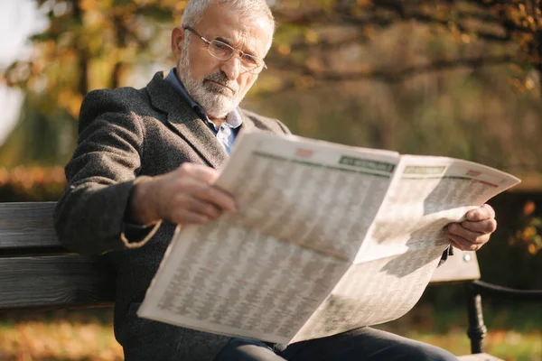 El apuesto abuelo con una hermosa barba en una chaqueta gris se sienta en un banco en el parque y lee un periódico. Hombre mayor de pelo gris en gafas —  Fotos de Stock