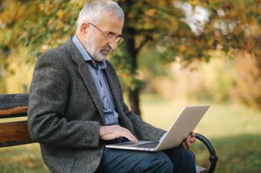 Üst düzey iş adamı dışarıda dizüstü bilgisayar kullanıyor. Gri ceketli yaşlı adam parkta dizüstü bilgisayar kullanıyor.