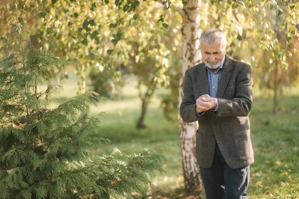 Un bel homme âgé portant une veste grise. Vieil homme barbu aux cheveux gris marchant dans le parc d'automne. Fond jaune — Photo