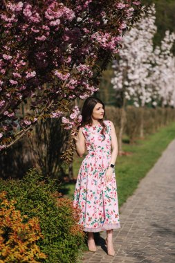 Pembe ağacın yanındaki parkta yürüyen çekici genç kız. Sakura ağacı, bahar.