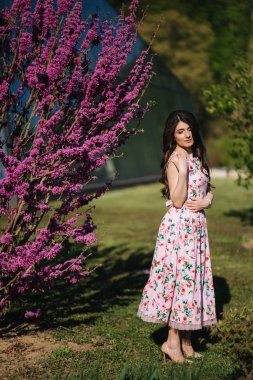 Güzel kadın mor çiçek açan ağacın yanında duruyor. Mavi arka plan. Model