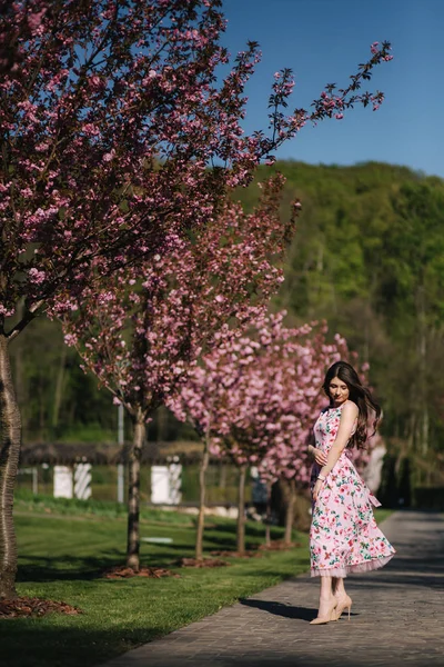 迷人的小女孩在红树旁的公园里散步。 樱花树，春天 — 图库照片