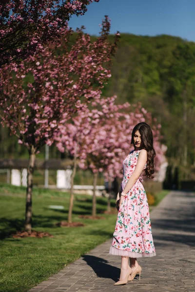 Rapariga atraente andando no parque perto da árvore rosa. Árvore Sakura, primavera — Fotografia de Stock