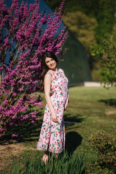 Mulher bonita ficar ao lado da árvore florescendo violeta. Fundo azul. Modelo de moda — Fotografia de Stock