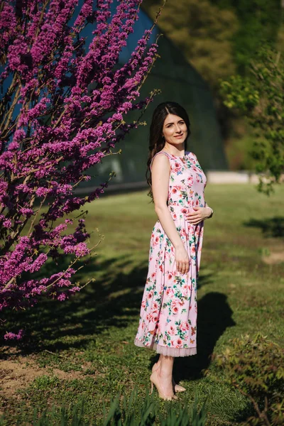 Hermosa mujer de pie junto a violeta árbol floreciente. Fondo azul. Modelo de moda —  Fotos de Stock