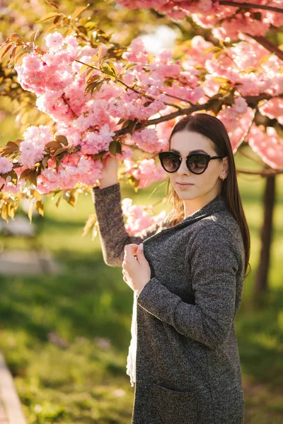 Портрет красивої жінки в сонцезахисних окулярах стоїть біля рожевого дерева — стокове фото