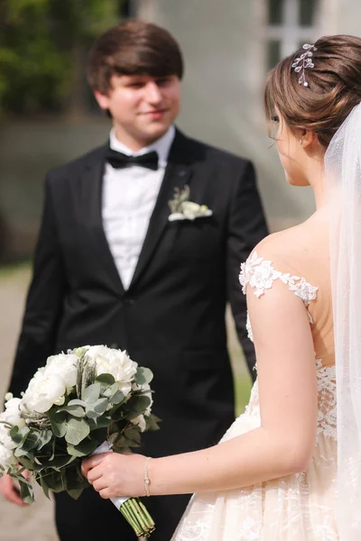 Os recém-casados estão andando no parque perto do grande castelo. Bela noiva com belo noivo — Fotografia de Stock