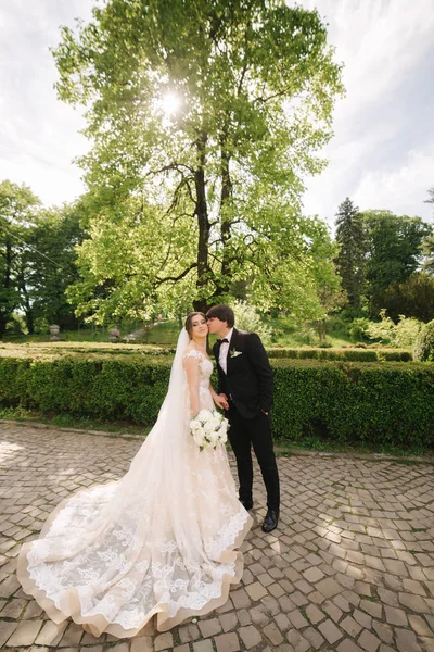 Ženich a nevěsta stojící u velkého stromu v parku — Stock fotografie