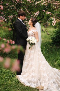 Yakışıklı damat onun güzel gelin sarılmak. Yeni evliler parkta yürüyor. Zarif gelinlik kahverengi saçlı kadın. Çiçek ağacı