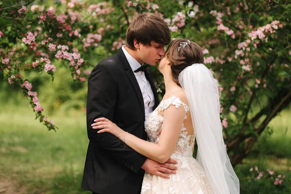 Knappe bruidegom knuffel zijn mooie bruid. Jonggehuwden wandelen in het Park. Bruin haar vrouw in elegante trouwjurk. Bloesem boom — Stockfoto