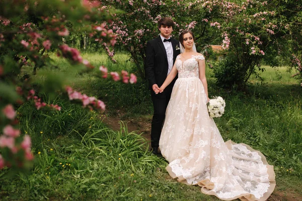 Schöner Bräutigam umarmt seine schöne Braut. Frischvermählte beim Spaziergang im Park. Frau mit braunem Haar im eleganten Hochzeitskleid. Blütenbaum — Stockfoto