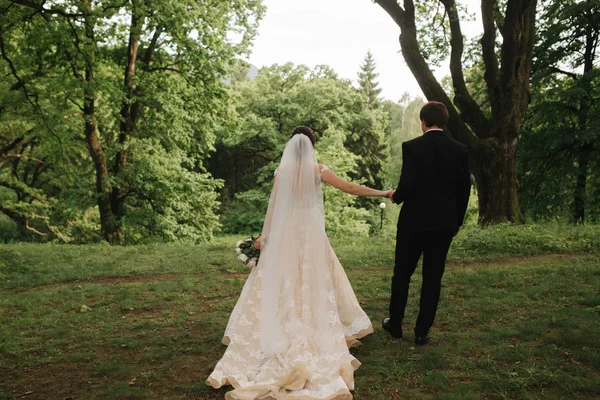 Achteraanzicht van bruidegom en bruid lopend in het bos — Stockfoto