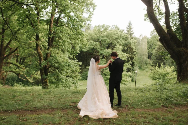 Vue arrière du marié et de la mariée marchant dans la forêt — Photo