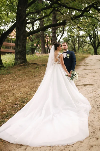 Recém-casados a caminhar na floresta. Feliz casal apenas casado — Fotografia de Stock